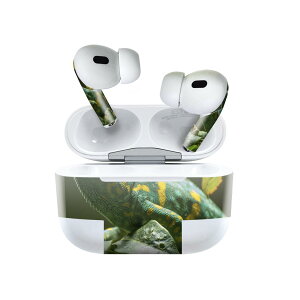 Air Pods Pro2 / Pro1 p fUCXLV[ airpods GA|bh apple Abv AirPods Pro 1 airpodsPro 2 Ή Cz Jo[ fR[V ANZT[ fRV[ 023102 COAi@