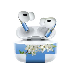 Air Pods Pro2 / Pro1 p fUCXLV[ airpods GA|bh apple Abv AirPods Pro 1 airpodsPro 2 Ή Cz Jo[ fR[V ANZT[ fRV[ 023105 ԁ@ʐ^