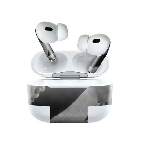 Air Pods Pro2 / Pro1 ��p �f�U�C���X�L���V�[�� airpods �G�A�|�b�h apple �A�b�v�� AirPods Pro ��1���� airpodsPro ��2���� �Ή� �C���z�� �J�o�[ �f�R���[�V���� �A�N�Z�T���[ �f�R�V�[�� 023109 �l���@�q��