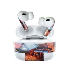 Air Pods Pro2 / Pro1 ��p �f�U�C���X�L���V�[�� airpods �G�A�|�b�h apple �A�b�v�� AirPods Pro ��1���� airpodsPro ��2���� �Ή� �C���z�� �J�o�[ �f�R���[�V���� �A�N�Z�T���[ �f�R�V�[�� 023115 �N���X�}�X