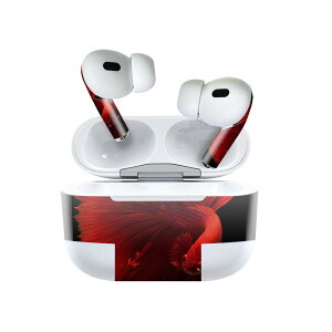 Air Pods Pro2 / Pro1 ��p �f�U�C���X�L���V�[�� airpods �G�A�|�b�h apple �A�b�v�� AirPods Pro ��1���� airpodsPro ��2���� �Ή� �C���z�� �J�o�[ �f�R���[�V���� �A�N�Z�T���[ �f�R�V�[�� 023154 �����@�ʐ^