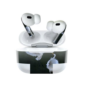 Air Pods Pro2 / Pro1 p fUCXLV[ airpods GA|bh apple Abv AirPods Pro 1 airpodsPro 2 Ή Cz Jo[ fR[V ANZT[ fRV[ 023158 @ʐ^@