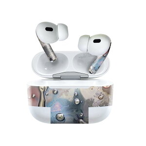 Air Pods Pro2 / Pro1 ��p �f�U�C���X�L���V�[�� airpods �G�A�|�b�h apple �A�b�v�� AirPods Pro ��1���� airpodsPro ��2���� �Ή� �C���z�� �J�o�[ �f�R���[�V���� �A�N�Z�T���[ �f�R�V�[�� 023159 �͗l�@��