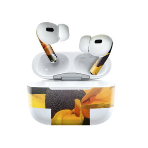 Air Pods Pro2 / Pro1 p fUCXLV[ airpods GA|bh apple Abv AirPods Pro 1 airpodsPro 2 Ή Cz Jo[ fR[V ANZT[ fRV[ 023161 ԁ@t