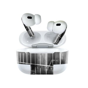 Air Pods Pro2 / Pro1 ��p �f�U�C���X�L���V�[�� airpods �G�A�|�b�h apple �A�b�v�� AirPods Pro ��1���� airpodsPro ��2���� �Ή� �C���z�� �J�o�[ �f�R���[�V���� �A�N�Z�T���[ �f�R�V�[�� 023162 �p�Ё@�ʐ^