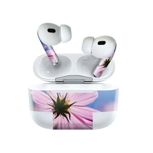 Air Pods Pro2 / Pro1 p fUCXLV[ airpods GA|bh apple Abv AirPods Pro 1 airpodsPro 2 Ή Cz Jo[ fR[V ANZT[ fRV[ 023169 ԁ@t