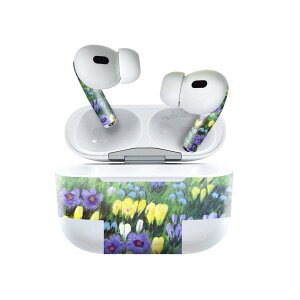 Air Pods Pro2 / Pro1 ��p �f�U�C���X�L���V�[�� airpods �G�A�|�b�h apple �A�b�v�� AirPods Pro ��1���� airpodsPro ��2���� �Ή� �C���z�� �J�o�[ �f�R���[�V���� �A�N�Z�T���[ �f�R�V�[�� 023174 �ԁ@�t����