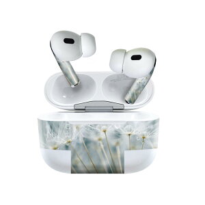 Air Pods Pro2 / Pro1 p fUCXLV[ airpods GA|bh apple Abv AirPods Pro 1 airpodsPro 2 Ή Cz Jo[ fR[V ANZT[ fRV[ 023193 ۂہ@