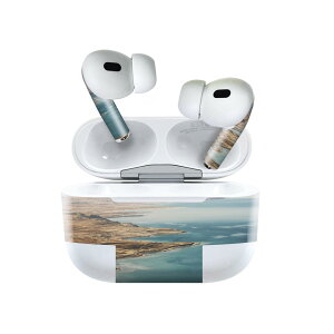 Air Pods Pro2 / Pro1 ��p �f�U�C���X�L���V�[�� airpods �G�A�|�b�h apple �A�b�v�� AirPods Pro ��1���� airpodsPro ��2���� �Ή� �C���z�� �J�o�[ �f�R���[�V���� �A�N�Z�T���[ �f�R�V�[�� 023198 �C�@�i�F�@