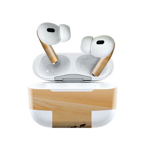 Air Pods Pro2 / Pro1 ��p �f�U�C���X�L���V�[�� airpods �G�A�|�b�h apple �A�b�v�� AirPods Pro ��1���� airpodsPro ��2���� �Ή� �C���z�� �J�o�[ �f�R���[�V���� �A�N�Z�T���[ �f�R�V�[�� 023202 �����@�ʐ^