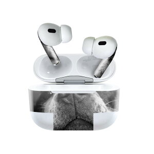 Air Pods Pro2 / Pro1 p fUCXLV[ airpods GA|bh apple Abv AirPods Pro 1 airpodsPro 2 Ή Cz Jo[ fR[V ANZT[ fRV[ 023216 @ʐ^@