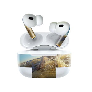 Air Pods Pro2 / Pro1 ��p �f�U�C���X�L���V�[�� airpods �G�A�|�b�h apple �A�b�v�� AirPods Pro ��1���� airpodsPro ��2���� �Ή� �C���z�� �J�o�[ �f�R���[�V���� �A�N�Z�T���[ �f�R�V�[�� 023217 ���@�T�[�t