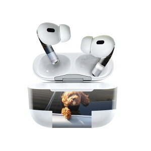 Air Pods Pro2 / Pro1 p fUCXLV[ airpods GA|bh apple Abv AirPods Pro 1 airpodsPro 2 Ή Cz Jo[ fR[V ANZT[ fRV[ 023221 @ԁ@