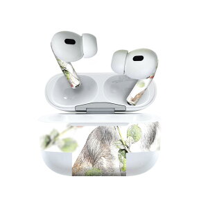 Air Pods Pro2 / Pro1 ��p �f�U�C���X�L���V�[�� airpods �G�A�|�b�h apple �A�b�v�� AirPods Pro ��1���� airpodsPro ��2���� �Ή� �C���z�� �J�o�[ �f�R���[�V���� �A�N�Z�T���[ �f�R�V�[�� 023223 ���@�C���X