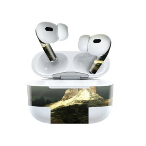 Air Pods Pro2 / Pro1 ��p �f�U�C���X�L���V�[�� airpods �G�A�|�b�h apple �A�b�v�� AirPods Pro ��1���� airpodsPro ��2���� �Ή� �C���z�� �J�o�[ �f�R���[�V���� �A�N�Z�T���[ �f�R�V�[�� 023227 �i�F�@�ʐ^
