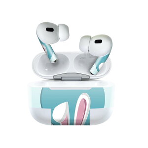 Air Pods Pro2 / Pro1 ��p �f�U�C���X�L���V�[�� airpods �G�A�|�b�h apple �A�b�v�� AirPods Pro ��1���� airpodsPro ��2���� �Ή� �C���z�� �J�o�[ �f�R���[�V���� �A�N�Z�T���[ �f�R�V�[�� 023243 �������@��