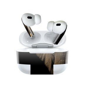 Air Pods Pro2 / Pro1 ��p �f�U�C���X�L���V�[�� airpods �G�A�|�b�h apple �A�b�v�� AirPods Pro ��1���� airpodsPro ��2���� �Ή� �C���z�� �J�o�[ �f�R���[�V���� �A�N�Z�T���[ �f�R�V�[�� 023247 �]�E�@����