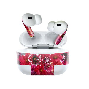 Air Pods Pro2 / Pro1 ��p �f�U�C���X�L���V�[�� airpods �G�A�|�b�h apple �A�b�v�� AirPods Pro ��1���� airpodsPro ��2���� �Ή� �C���z�� �J�o�[ �f�R���[�V���� �A�N�Z�T���[ �f�R�V�[�� 023258 �ԁ@�t����