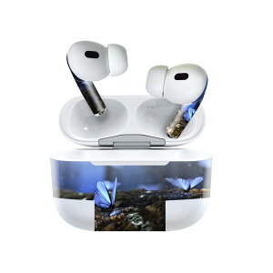Air Pods Pro2 / Pro1 p fUCXLV[ airpods GA|bh apple Abv AirPods Pro 1 airpodsPro 2 Ή Cz Jo[ fR[V ANZT[ fRV[ 023261 ̂@