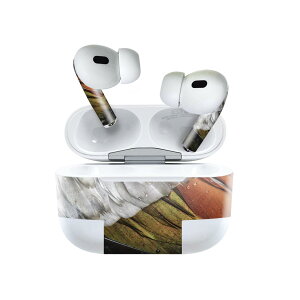 Air Pods Pro2 / Pro1 ��p �f�U�C���X�L���V�[�� airpods �G�A�|�b�h apple �A�b�v�� AirPods Pro ��1���� airpodsPro ��2���� �Ή� �C���z�� �J�o�[ �f�R���[�V���� �A�N�Z�T���[ �f�R�V�[�� 023273 �H�@���@��