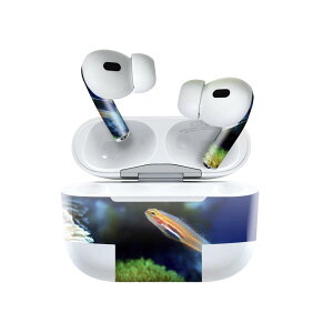 Air Pods Pro2 / Pro1 p fUCXLV[ airpods GA|bh apple Abv AirPods Pro 1 airpodsPro 2 Ή Cz Jo[ fR[V ANZT[ fRV[ 023281 @C