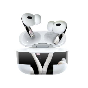 Air Pods Pro2 / Pro1 ��p �f�U�C���X�L���V�[�� airpods �G�A�|�b�h apple �A�b�v�� AirPods Pro ��1���� airpodsPro ��2���� �Ή� �C���z�� �J�o�[ �f�R���[�V���� �A�N�Z�T���[ �f�R�V�[�� 023284 �t���~���S