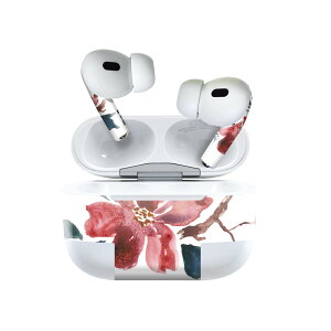 Air Pods Pro2 / Pro1 p fUCXLV[ airpods GA|bh apple Abv AirPods Pro 1 airpodsPro 2 Ή Cz Jo[ fR[V ANZT[ fRV[ 023285 ԁ@t