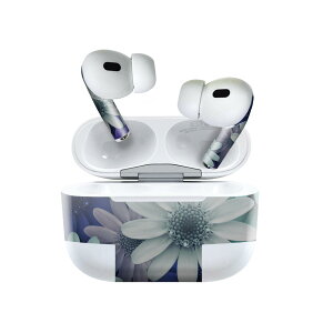 Air Pods Pro2 / Pro1 p fUCXLV[ airpods GA|bh apple Abv AirPods Pro 1 airpodsPro 2 Ή Cz Jo[ fR[V ANZT[ fRV[ 023291 ԁ@t