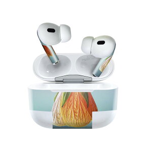 Air Pods Pro2 / Pro1 p fUCXLV[ airpods GA|bh apple Abv AirPods Pro 1 airpodsPro 2 Ή Cz Jo[ fR[V ANZT[ fRV[ 023293 ԁ@t