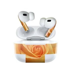 Air Pods Pro2 / Pro1 ��p �f�U�C���X�L���V�[�� airpods �G�A�|�b�h apple �A�b�v�� AirPods Pro ��1���� airpodsPro ��2���� �Ή� �C���z�� �J�o�[ �f�R���[�V���� �A�N�Z�T���[ �f�R�V�[�� 023308 �ԁ@�t����