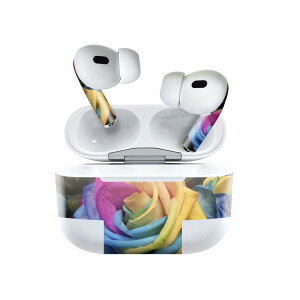 Air Pods Pro2 / Pro1 ��p �f�U�C���X�L���V�[�� airpods �G�A�|�b�h apple �A�b�v�� AirPods Pro ��1���� airpodsPro ��2���� �Ή� �C���z�� �J�o�[ �f�R���[�V���� �A�N�Z�T���[ �f�R�V�[�� 023311 �ԁ@�t����