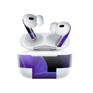 Air Pods Pro2 / Pro1 p fUCXLV[ airpods GA|bh apple Abv AirPods Pro 1 airpodsPro 2 Ή Cz Jo[ fR[V ANZT[ fRV[ 023328 Ԃт@t