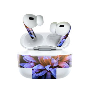 Air Pods Pro2 / Pro1 ��p �f�U�C���X�L���V�[�� airpods �G�A�|�b�h apple �A�b�v�� AirPods Pro ��1���� airpodsPro ��2���� �Ή� �C���z�� �J�o�[ �f�R���[�V���� �A�N�Z�T���[ �f�R�V�[�� 023332 �ԁ@�t����