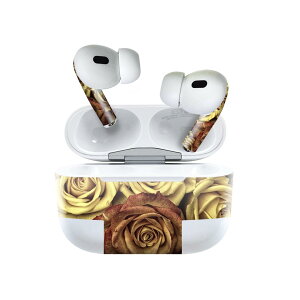 Air Pods Pro2 / Pro1 ��p �f�U�C���X�L���V�[�� airpods �G�A�|�b�h apple �A�b�v�� AirPods Pro ��1���� airpodsPro ��2���� �Ή� �C���z�� �J�o�[ �f�R���[�V���� �A�N�Z�T���[ �f�R�V�[�� 023338 �ԁ@�t����