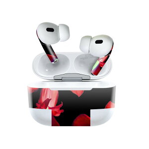 Air Pods Pro2 / Pro1 p fUCXLV[ airpods GA|bh apple Abv AirPods Pro 1 airpodsPro 2 Ή Cz Jo[ fR[V ANZT[ fRV[ 023340 ԁ@t