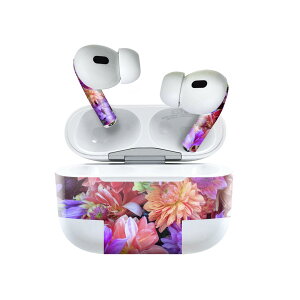 Air Pods Pro2 / Pro1 ��p �f�U�C���X�L���V�[�� airpods �G�A�|�b�h apple �A�b�v�� AirPods Pro ��1���� airpodsPro ��2���� �Ή� �C���z�� �J�o�[ �f�R���[�V���� �A�N�Z�T���[ �f�R�V�[�� 023341 �ԁ@�t����