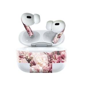 Air Pods Pro2 / Pro1 ��p �f�U�C���X�L���V�[�� airpods �G�A�|�b�h apple �A�b�v�� AirPods Pro ��1���� airpodsPro ��2���� �Ή� �C���z�� �J�o�[ �f�R���[�V���� �A�N�Z�T���[ �f�R�V�[�� 023344 �ԁ@�t����