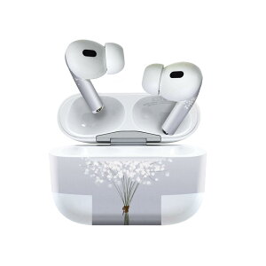 Air Pods Pro2 / Pro1 p fUCXLV[ airpods GA|bh apple Abv AirPods Pro 1 airpodsPro 2 Ή Cz Jo[ fR[V ANZT[ fRV[ 023350 ԁ@t