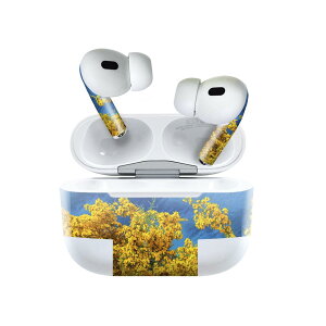 Air Pods Pro2 / Pro1 p fUCXLV[ airpods GA|bh apple Abv AirPods Pro 1 airpodsPro 2 Ή Cz Jo[ fR[V ANZT[ fRV[ 023354 ԁ@t