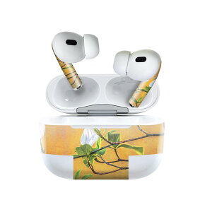 Air Pods Pro2 / Pro1 ��p �f�U�C���X�L���V�[�� airpods �G�A�|�b�h apple �A�b�v�� AirPods Pro ��1���� airpodsPro ��2���� �Ή� �C���z�� �J�o�[ �f�R���[�V���� �A�N�Z�T���[ �f�R�V�[�� 023359 �ԁ@�t����