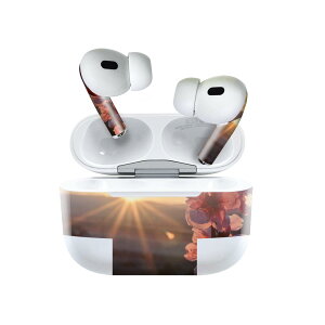 Air Pods Pro2 / Pro1 p fUCXLV[ airpods GA|bh apple Abv AirPods Pro 1 airpodsPro 2 Ή Cz Jo[ fR[V ANZT[ fRV[ 023363 ԁ@t