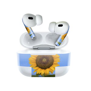 Air Pods Pro2 / Pro1 p fUCXLV[ airpods GA|bh apple Abv AirPods Pro 1 airpodsPro 2 Ή Cz Jo[ fR[V ANZT[ fRV[ 023365 ԁ@t