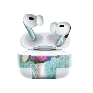 Air Pods Pro2 / Pro1 ��p �f�U�C���X�L���V�[�� airpods �G�A�|�b�h apple �A�b�v�� AirPods Pro ��1���� airpodsPro ��2���� �Ή� �C���z�� �J�o�[ �f�R���[�V���� �A�N�Z�T���[ �f�R�V�[�� 023367 �ԁ@�t����