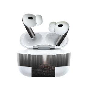 Air Pods Pro2 / Pro1 ��p �f�U�C���X�L���V�[�� airpods �G�A�|�b�h apple �A�b�v�� AirPods Pro ��1���� airpodsPro ��2���� �Ή� �C���z�� �J�o�[ �f�R���[�V���� �A�N�Z�T���[ �f�R�V�[�� 023372 �ÈŁ@��