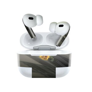 Air Pods Pro2 / Pro1 ��p �f�U�C���X�L���V�[�� airpods �G�A�|�b�h apple �A�b�v�� AirPods Pro ��1���� airpodsPro ��2���� �Ή� �C���z�� �J�o�[ �f�R���[�V���� �A�N�Z�T���[ �f�R�V�[�� 023374 �ԁ@�t����