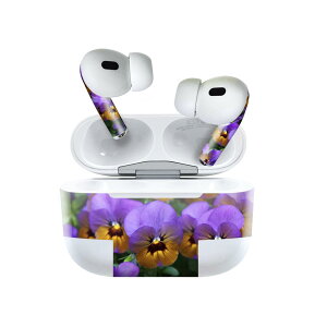 Air Pods Pro2 / Pro1 ��p �f�U�C���X�L���V�[�� airpods �G�A�|�b�h apple �A�b�v�� AirPods Pro ��1���� airpodsPro ��2���� �Ή� �C���z�� �J�o�[ �f�R���[�V���� �A�N�Z�T���[ �f�R�V�[�� 023383 �ԁ@�t����