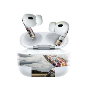 Air Pods Pro2 / Pro1 ��p �f�U�C���X�L���V�[�� airpods �G�A�|�b�h apple �A�b�v�� AirPods Pro ��1���� airpodsPro ��2���� �Ή� �C���z�� �J�o�[ �f�R���[�V���� �A�N�Z�T���[ �f�R�V�[�� 023388 �����@�J��