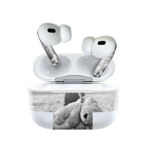 Air Pods Pro2 / Pro1 p fUCXLV[ airpods GA|bh apple Abv AirPods Pro 1 airpodsPro 2 Ή Cz Jo[ fR[V ANZT[ fRV[ 023389 q@ʐ^