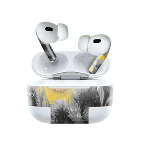 Air Pods Pro2 / Pro1 p fUCXLV[ airpods GA|bh apple Abv AirPods Pro 1 airpodsPro 2 Ή Cz Jo[ fR[V ANZT[ fRV[ 023402 ԁ@t