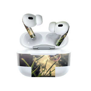 Air Pods Pro2 / Pro1 p fUCXLV[ airpods GA|bh apple Abv AirPods Pro 1 airpodsPro 2 Ή Cz Jo[ fR[V ANZT[ fRV[ 023404 ڂ